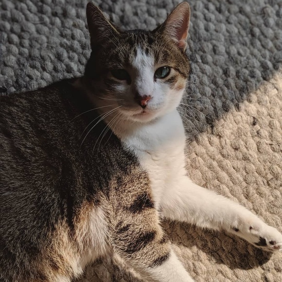 Meet your Posher, Jessica - Picture 7 of 13